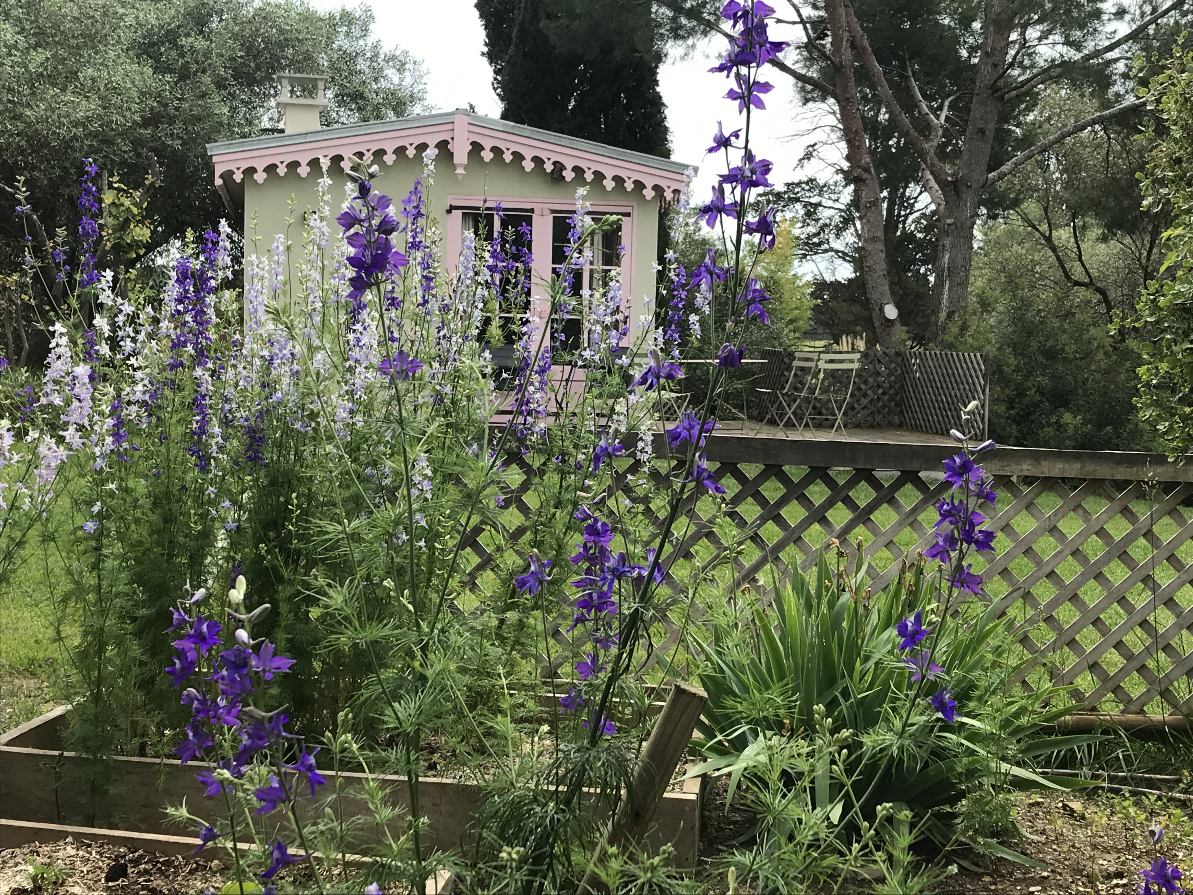 12 juillet au 30 août 2025
Maisonnette du Potager
studio aménagé - terrasse 
Formule Gîte
3 nuitées minimum
1 à 2 pers 
Pas de connexion internet WIFI
 